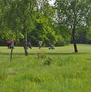 Golfeur concentré sur un putt au cœur du Morbihan