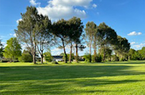 Cadre naturel et boisé au Golf de Caden, entre Vannes et Redon